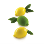 Molde de silicón Limone 120 – 88x61 x H44 mm + soporte plástico
